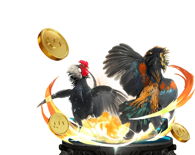 Các chương trình ưu đãi đá gà TT88